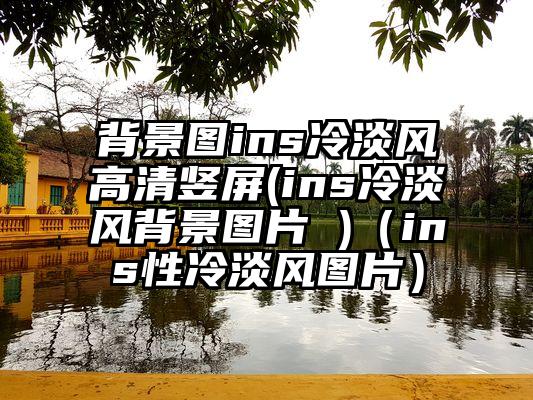 背景图ins冷淡风高清竖屏(ins冷淡风背景图片 )（ins性冷淡风图片）