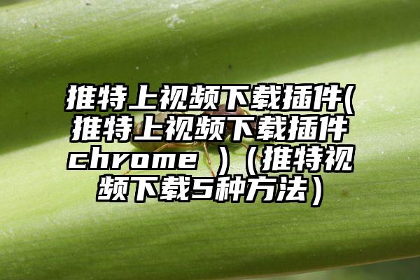 推特上视频下载插件(推特上视频下载插件chrome )（推特视频下载5种方法）