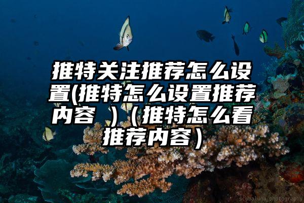 推特关注推荐怎么设置(推特怎么设置推荐内容 )（推特怎么看推荐内容）