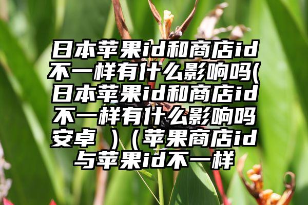 日本苹果id和商店id不一样有什么影响吗(日本苹果id和商店id不一样有什么影响吗安卓 )（苹果商店id与苹果id不一样