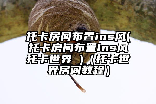 托卡房间布置ins风(托卡房间布置ins风托卡世界 )（托卡世界房间教程）