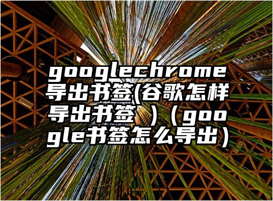 googlechrome导出书签(谷歌怎样导出书签 )（google书签怎么导出）