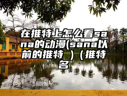 在推特上怎么看sana的动漫(sana以前的推特 )（推特名