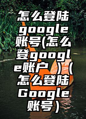 怎么登陆google账号(怎么登google账户 )（怎么登陆Google账号）