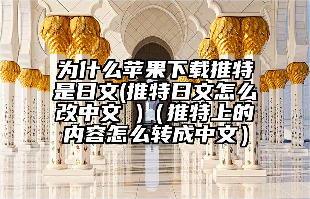 为什么苹果下载推特是日文(推特日文怎么改中文 )（推特上的内容怎么转成中文）