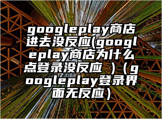 googleplay商店进去没反应(googleplay商店为什么点登录没反应 )（googleplay登录界面无反应）