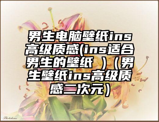 男生电脑壁纸ins高级质感(ins适合男生的壁纸 )（男生壁纸ins高级质感二次元）