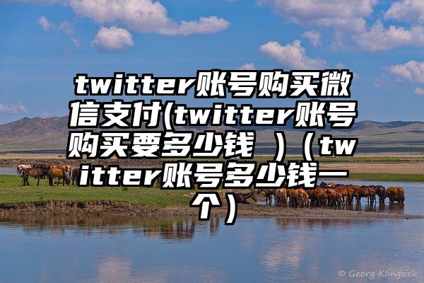 twitter账号购买微信支付(twitter账号购买要多少钱 )（twitter账号多少钱一个）