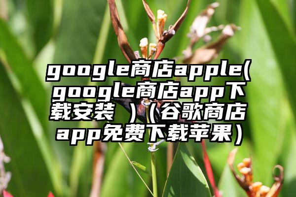 google商店apple(google商店app下载安装 )（谷歌商店app免费下载苹果）