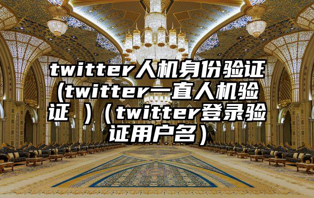 twitter人机身份验证(twitter一直人机验证 )（twitter登录验证用户名）