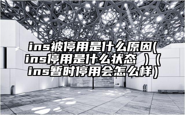 ins被停用是什么原因(ins停用是什么状态 )（ins暂时停用会怎么样）