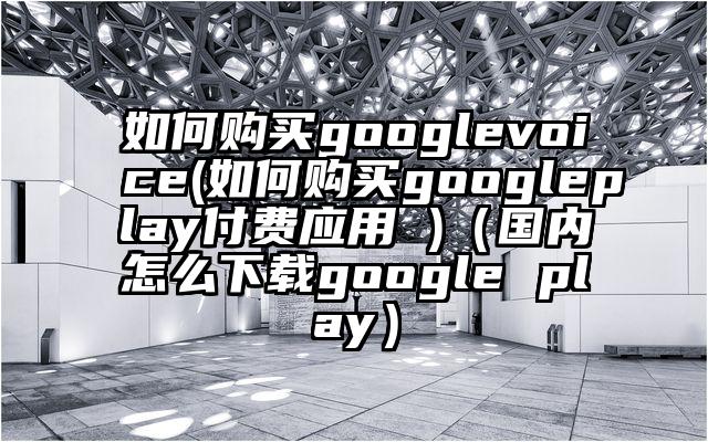 如何购买googlevoice(如何购买googleplay付费应用 )（国内怎么下载google play）