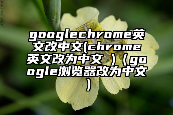 googlechrome英文改中文(chrome英文改为中文 )（google浏览器改为中文）