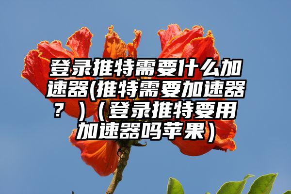 登录推特需要什么加速器(推特需要加速器? )（登录推特要用加速器吗苹果）