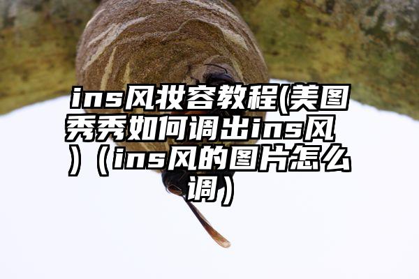 ins风妆容教程(美图秀秀如何调出ins风 )（ins风的图片怎么调）