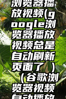 google浏览器播放视频(google浏览器播放视频总是自动刷新页面了 )（谷歌浏览器视频自动播放问题）