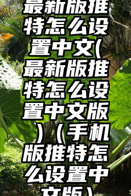 最新版推特怎么设置中文(最新版推特怎么设置中文版 )（手机版推特怎么设置中文版）