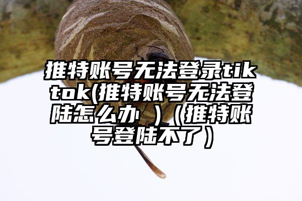 推特账号无法登录tiktok(推特账号无法登陆怎么办 )（推特账号登陆不了）