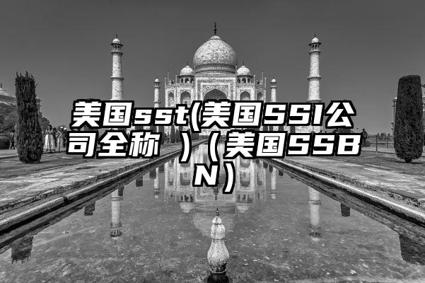 美国sst(美国SSI公司全称 )（美国SSBN）