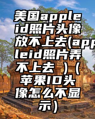 美国appleid照片头像放不上去(appleid照片弄不上去 )（苹果ID头像怎么不显示）