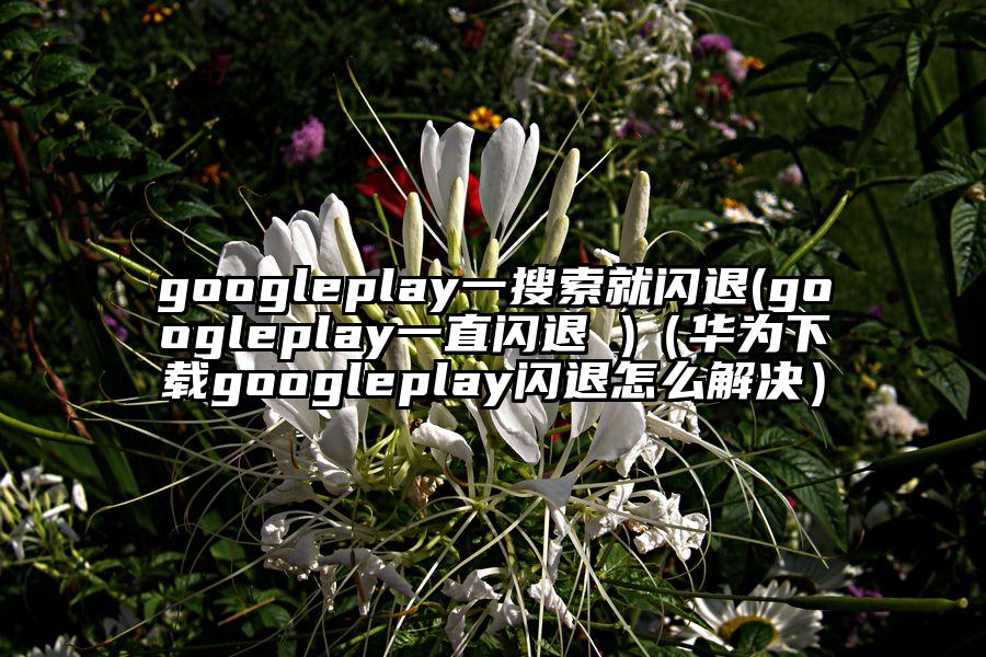 googleplay一搜索就闪退(googleplay一直闪退 )（华为下载googleplay闪退怎么解决）