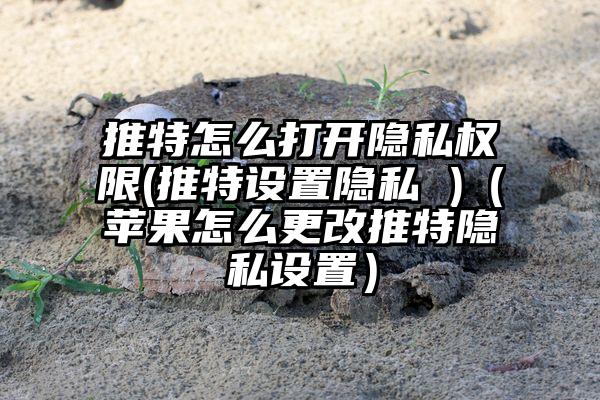 推特怎么打开隐私权限(推特设置隐私 )（苹果怎么更改推特隐私设置）