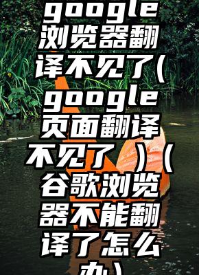 google浏览器翻译不见了(google页面翻译不见了 )（谷歌浏览器不能翻译了怎么办）