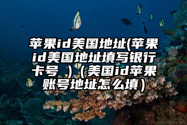 苹果id美国地址(苹果id美国地址填写银行卡号 )（美国id苹果账号地址怎么填）