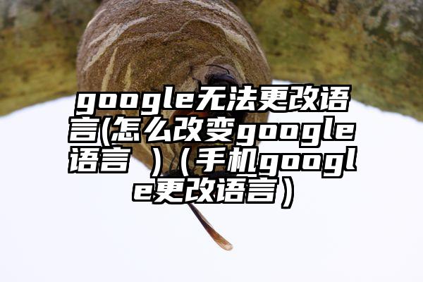 google无法更改语言(怎么改变google语言 )（手机google更改语言）