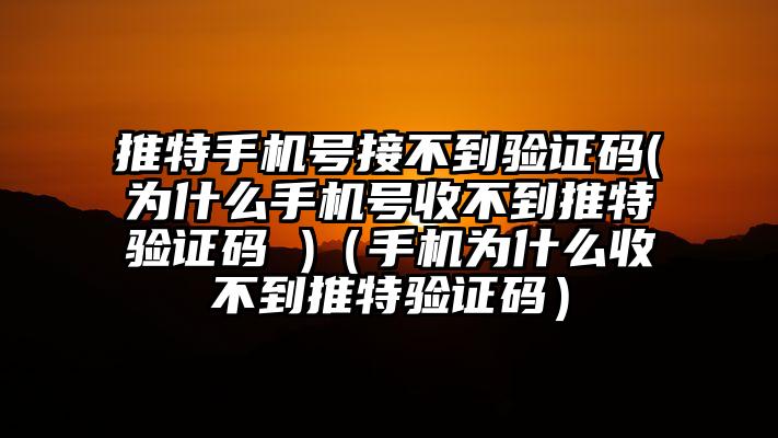 推特手机号接不到验证码(为什么手机号收不到推特验证码 )（手机为什么收不到推特验证码）