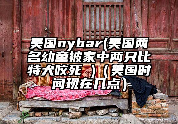 美国nybar(美国两名幼童被家中两只比特犬咬死 )（美国时间现在几点）