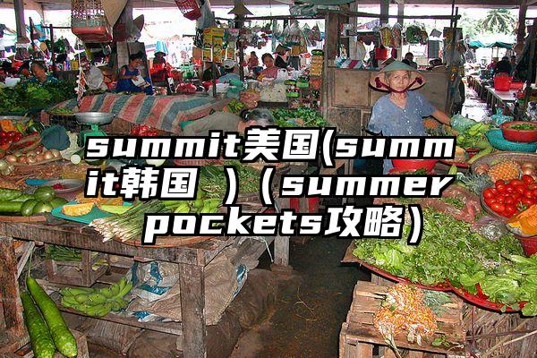 summit美国(summit韩国 )（summer pockets攻略）