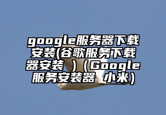 google服务器下载安装(谷歌服务下载器安装 )（Google服务安装器 小米）