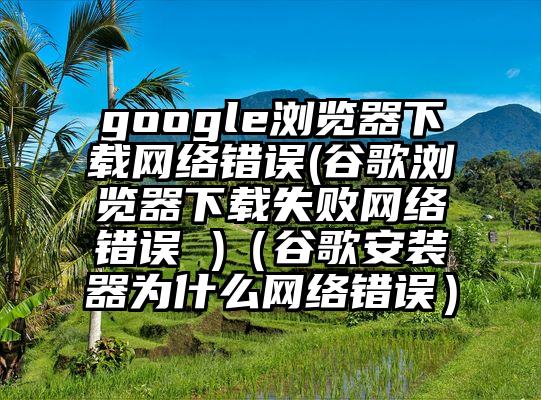 google浏览器下载网络错误(谷歌浏览器下载失败网络错误 )（谷歌安装器为什么网络错误）