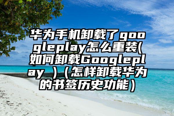 华为手机卸载了googleplay怎么重装(如何卸载Googleplay )（怎样卸载华为的书签历史功能）