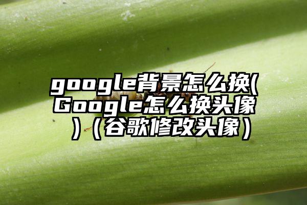 google背景怎么换(Google怎么换头像 )（谷歌修改头像）