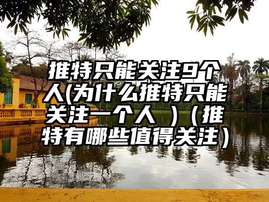 推特只能关注9个人(为什么推特只能关注一个人 )（推特有哪些值得关注）