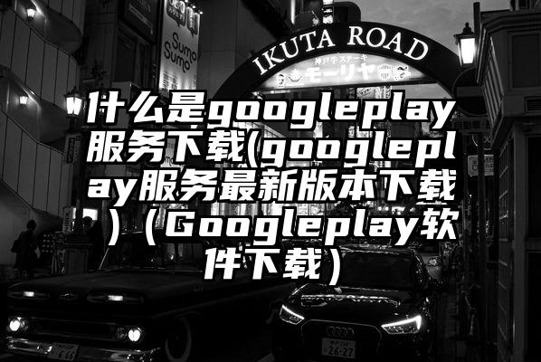 什么是googleplay服务下载(googleplay服务最新版本下载 )（Googleplay软件下载）