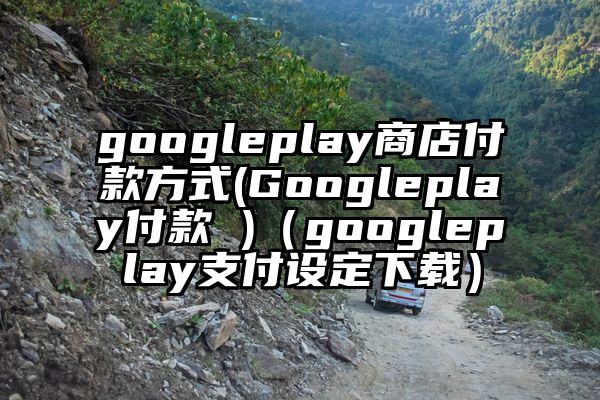 googleplay商店付款方式(Googleplay付款 )（googleplay支付设定下载）