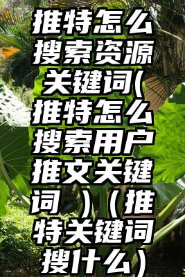 推特怎么搜索资源关键词(推特怎么搜索用户推文关键词 )（推特关键词搜什么）