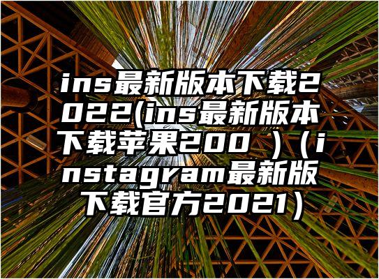 ins最新版本下载2022(ins最新版本下载苹果200 )（instagram最新版下载官方2021）