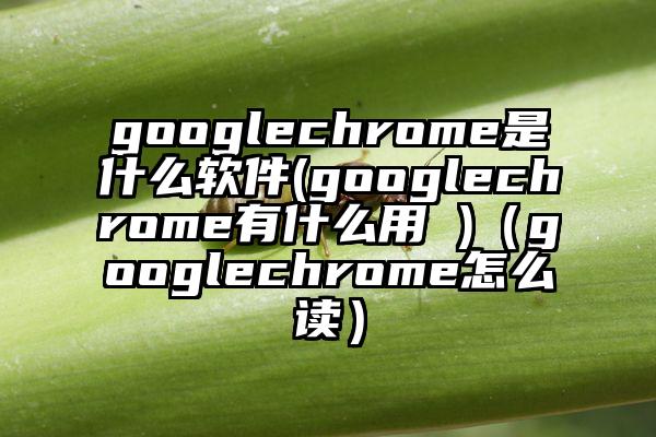 googlechrome是什么软件(googlechrome有什么用 )（googlechrome怎么读）