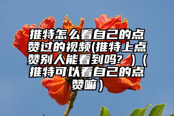 推特怎么看自己的点赞过的视频(推特上点赞别人能看到吗? )（推特可以看自己的点赞嘛）