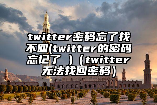 twitter密码忘了找不回(twitter的密码忘记了 )（twitter无法找回密码）