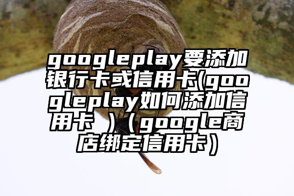 googleplay要添加银行卡或信用卡(googleplay如何添加信用卡 )（google商店绑定信用卡）