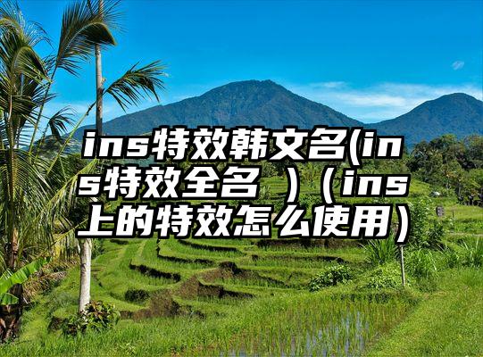 ins特效韩文名(ins特效全名 )（ins上的特效怎么使用）