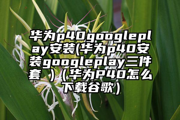 华为p40googleplay安装(华为p40安装googleplay三件套 )（华为P40怎么下载谷歌）