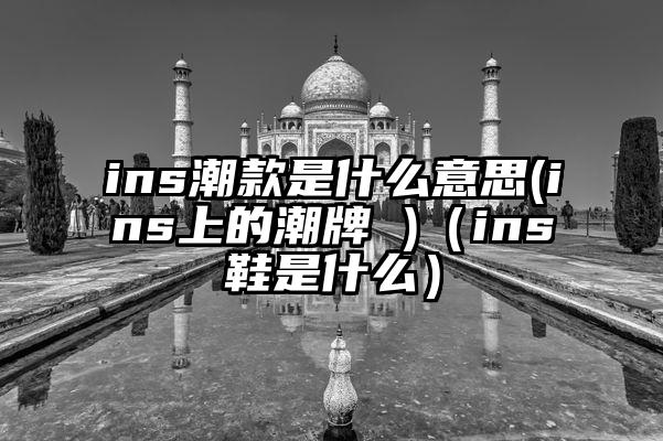 ins潮款是什么意思(ins上的潮牌 )（ins鞋是什么）