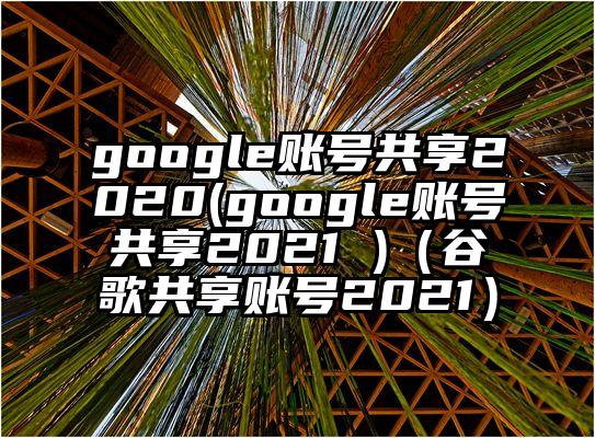 google账号共享2020(google账号共享2021 )（谷歌共享账号2021）