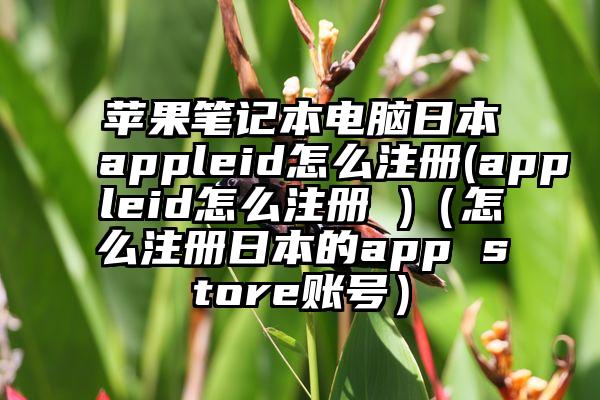 苹果笔记本电脑日本appleid怎么注册(appleid怎么注册 )（怎么注册日本的app store账号）